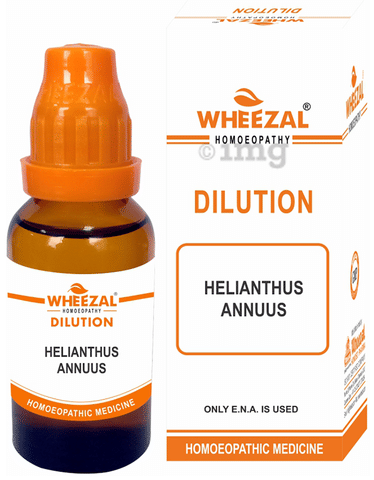 Wheezal Helianthus Annuus Dilution 1M