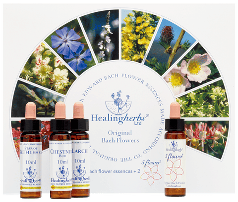 Healing Herbs Bach Flower Remedies Kit of 10ml